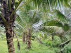 Land for sale in horana / DU 14860
