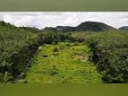 Land for sale in Horana