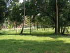 Land For Sale in Horana