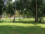 Land For Sale in Horana