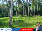 Land For Sale in Horana