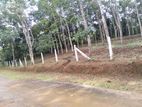 Land for Sale in Horana