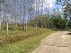 Land for Sale in Horana