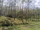 Land for Sale in Horana