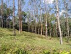 Land for Sale in Horana