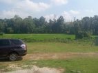 Land for Sale in Horana