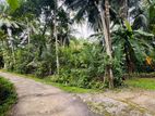 Land for Sale in Horana