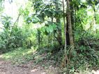 Land For Sale in Horana