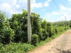 Land For Sale in Horana