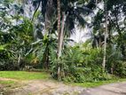 Land for Sale in Horana