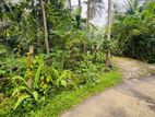 Land for Sale in Horana