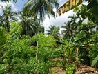 Land for Sale in Horana