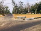 Land for sale in Horana