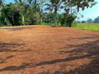 Land for Sale in Horana