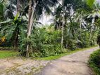 Land for Sale in Horana