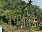 Land for Sale in Horana