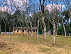 Land for sale in Horana