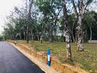 Land for sale in Horana