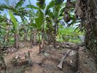 Land for Sale in Horana