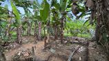 Land for Sale in Horana
