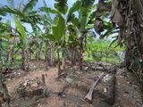 Land for Sale in Horana