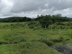 Land for Sale in Horana