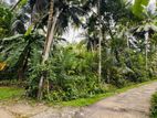 Land for Sale in Horana