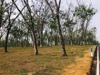Land For Sale In Horana