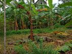 Land for Sale in Horana