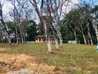 Land for sale in Horana