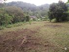 Land For Sale In Horana