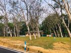 Land for sale in Horana