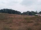 Land For Sale In Horana