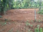 Land for sale in Horana