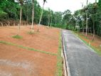 Land For Sale in Horana.