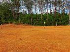 Land for Sale In Horana
