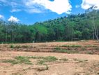 Land for Sale in Horana