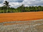 Land for sale in Horana