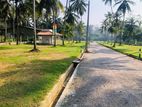 Land for Sale in Horana