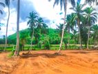 Land for Sale in Horana