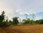 Land for Sale in Horana