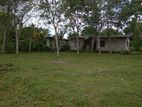 Land for Sale in Horana