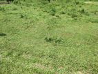 Land for Sale in Horana