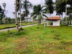 Land for Sale in Horana