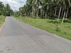 Land for sale in Horana