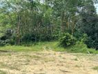 Land for sale in Horana