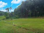 Land for Sale in Horana