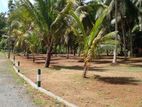 Land for Sale in Horana