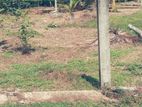 Land for Sale in Horana