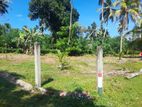 Land for Sale in Horana